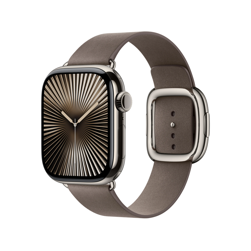 42mm Dark Taupe Modern Buckle - Small - iSTYLE RS