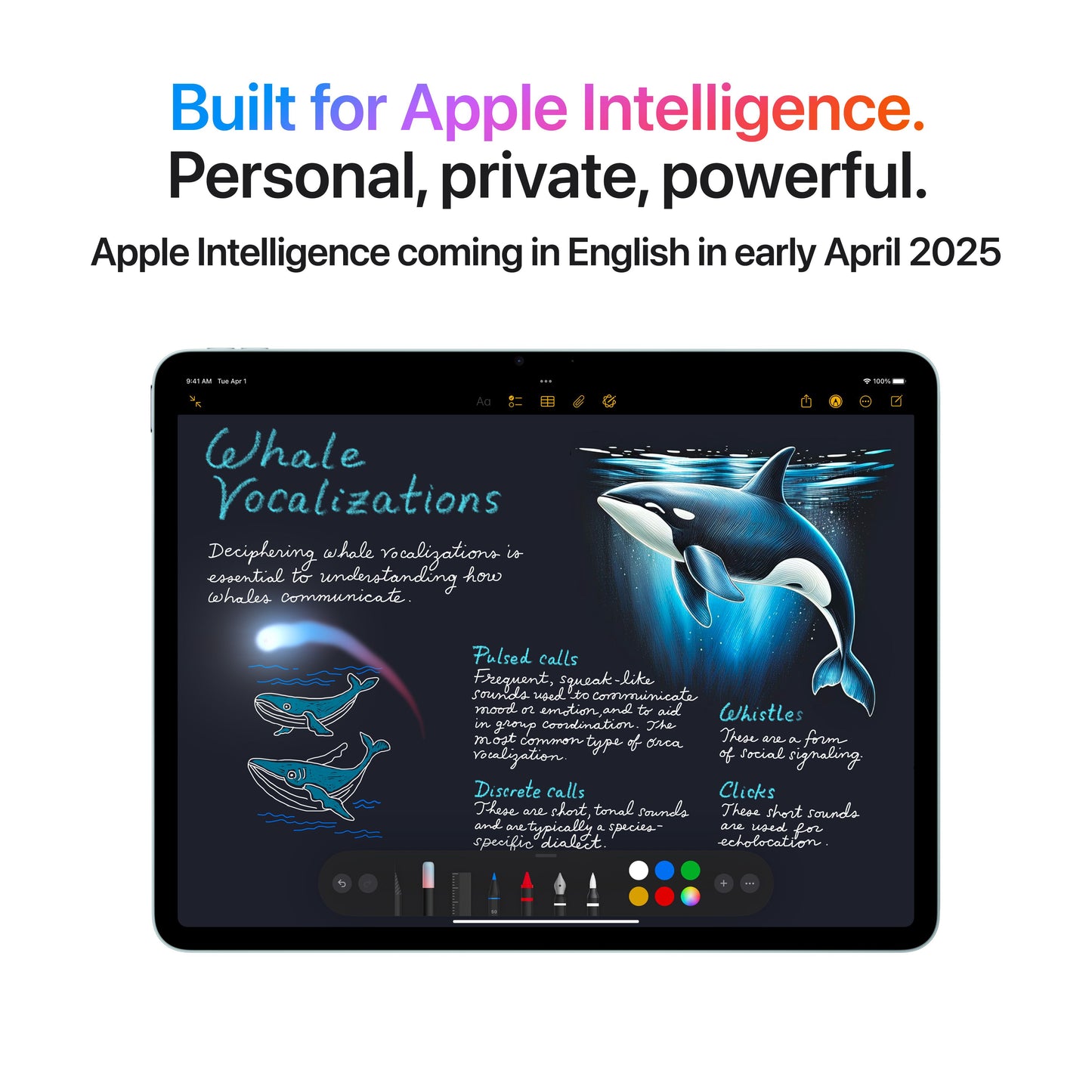 11-inčni iPad Air Wi-Fi 128GB - Space Gray (M3) - iSTYLE RS