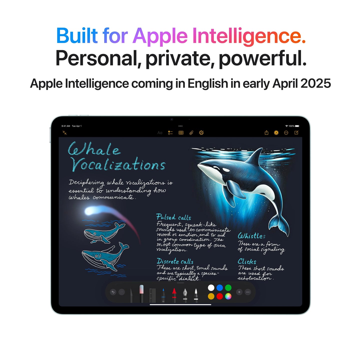 11-inčni iPad Air Wi-Fi 128GB - Space Gray (M3) - iSTYLE RS