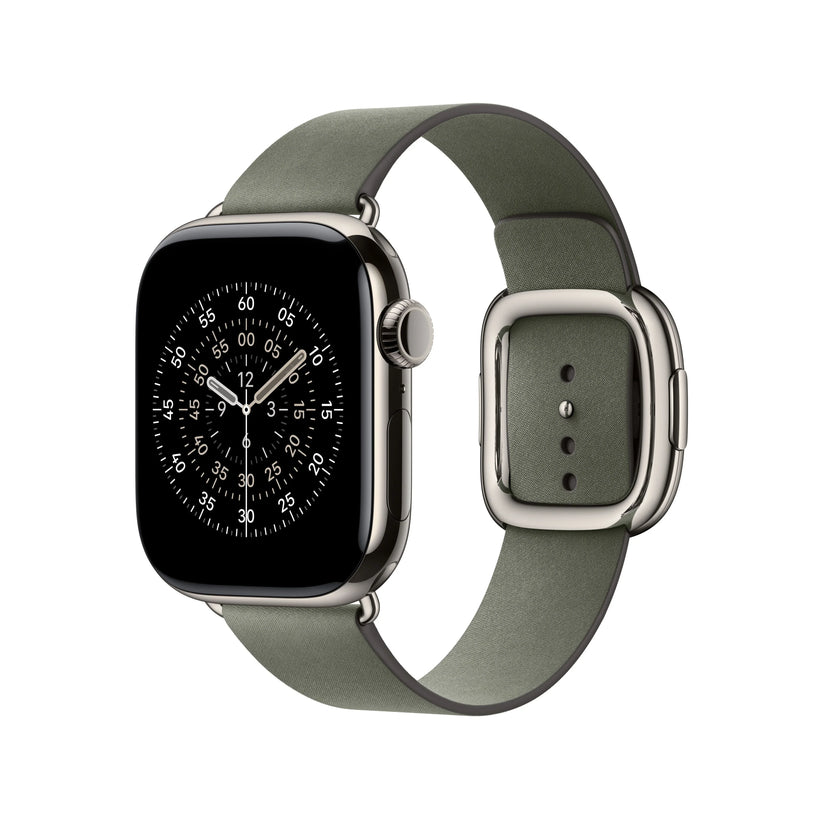42mm Sage Grey Modern Buckle - Large - iSTYLE RS