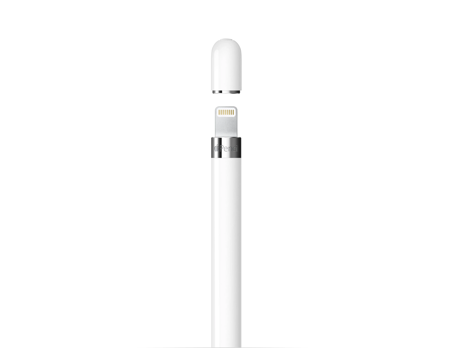 Apple Pencil (1st Generation) - Includes USB-C na Apple Pencil Adapter - iSTYLE RS