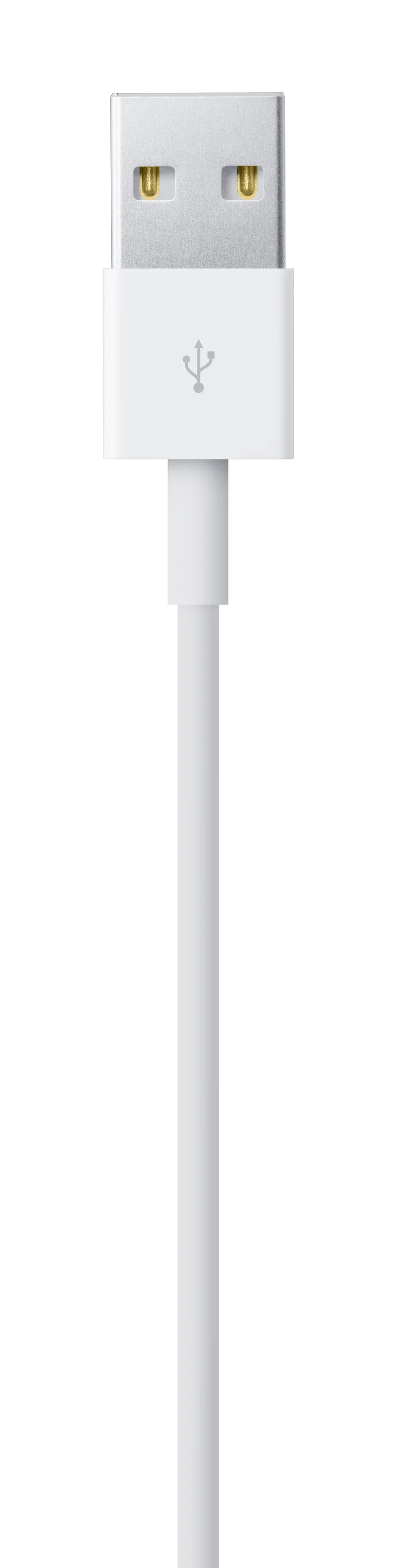 Lightning na USB Cable (1m) - iSTYLE RS