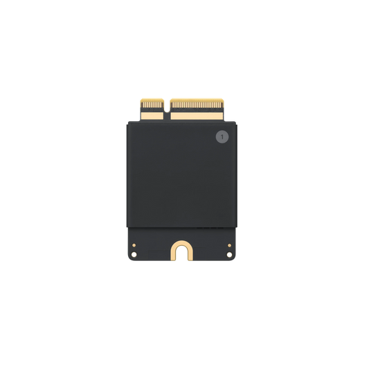 Apple 2TB SSD Upgrade Kit za Mac Pro - iSTYLE RS