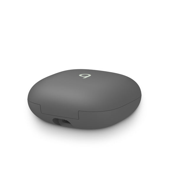 Beats Fit Pro True Wireless Earbuds - Sage Grey - iSTYLE RS