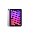 iPad mini (A17)