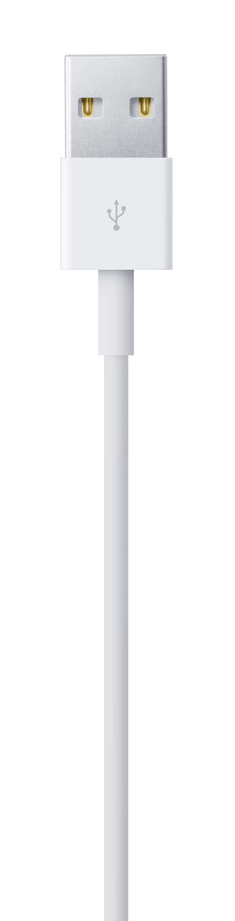 Lightning na USB Cable (1m) - iSTYLE RS