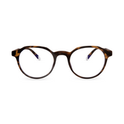 Barner Chamberi Tortoise - iSTYLE RS