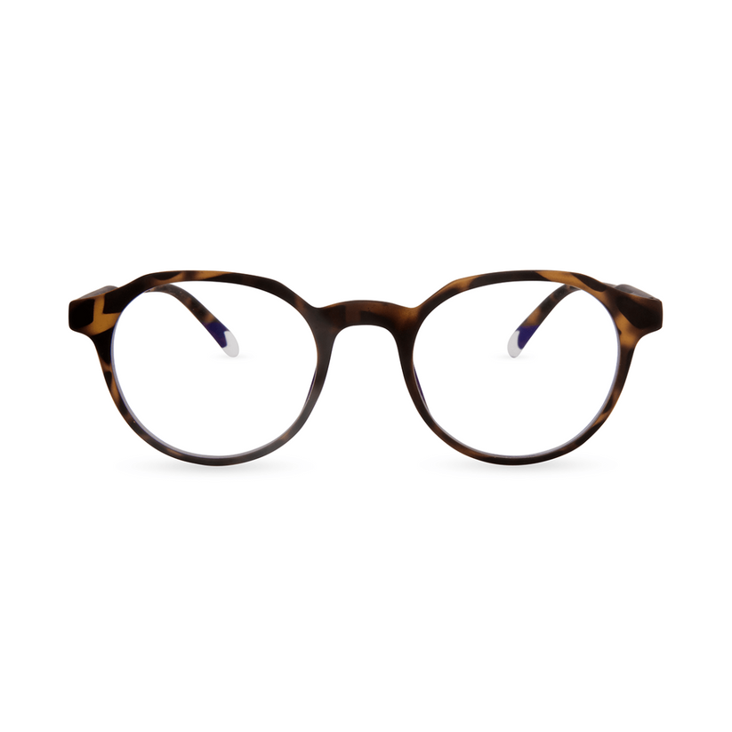 Barner Chamberi Tortoise - iSTYLE RS