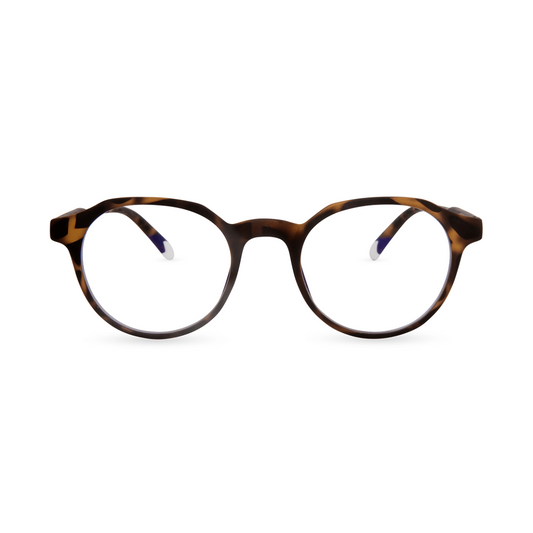 Barner Chamberi Tortoise - iSTYLE RS