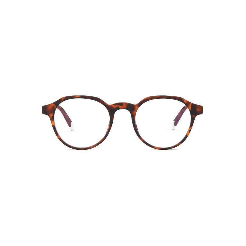 Barner Chamberi Tortoise - iSTYLE RS