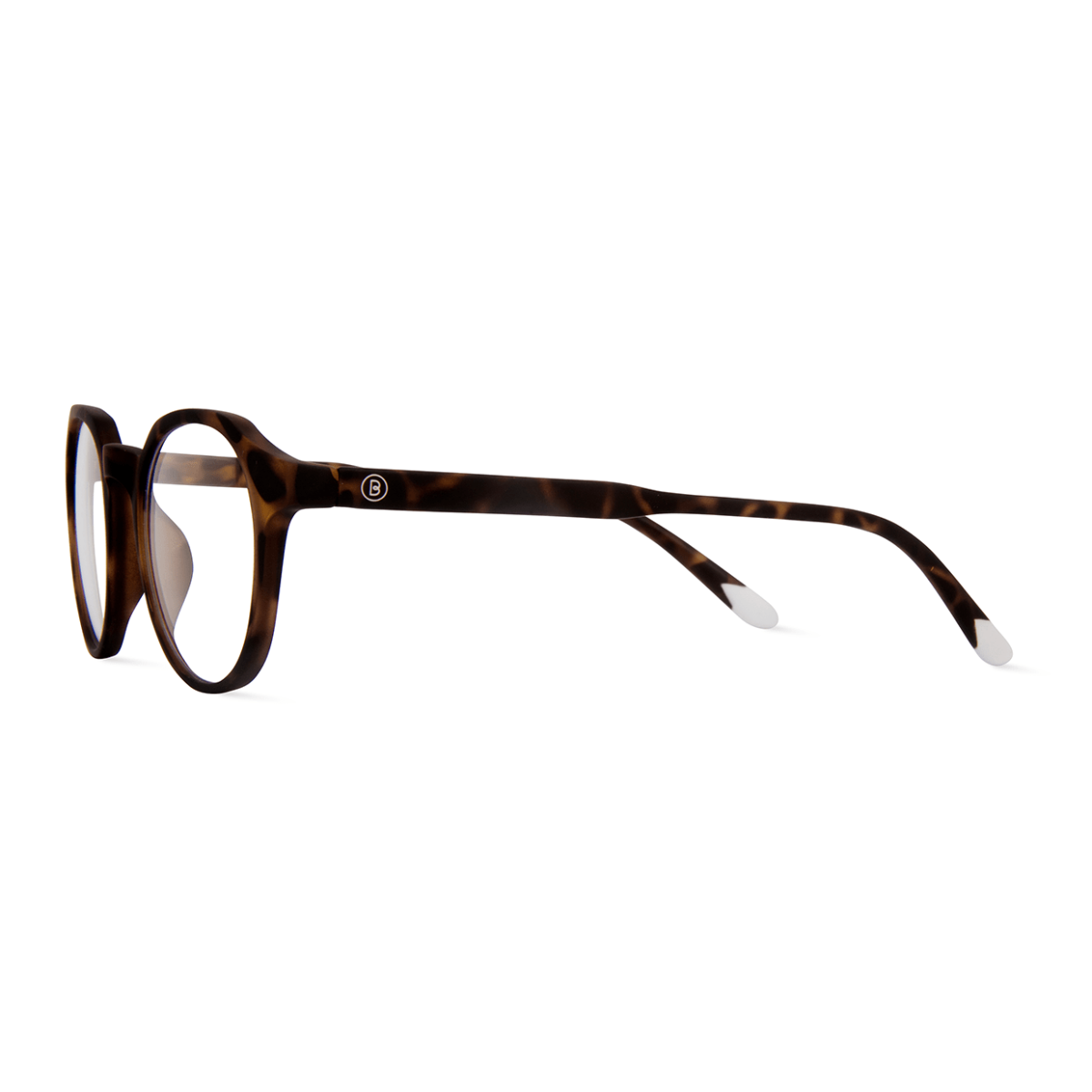 Barner Chamberi Tortoise - iSTYLE RS