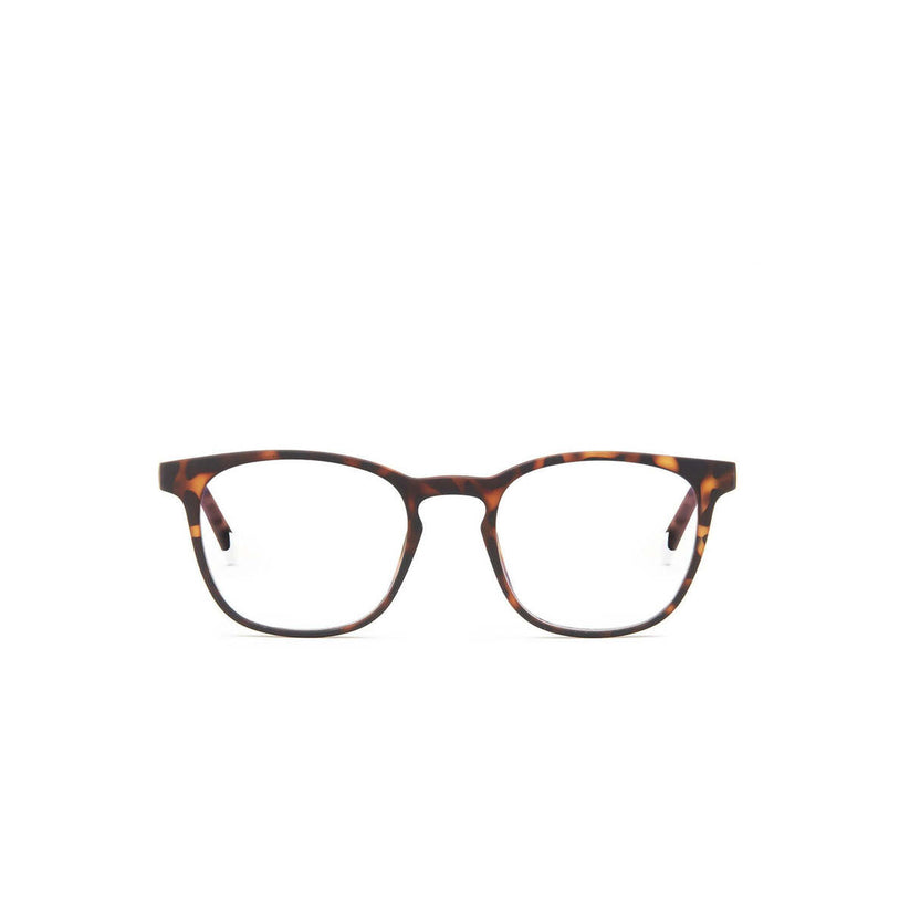 Barner Dalston Tortoise - iSTYLE RS