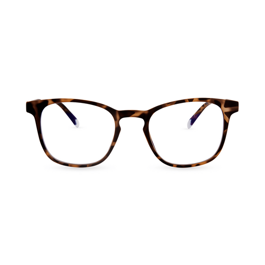 Barner Dalston Tortoise - iSTYLE RS