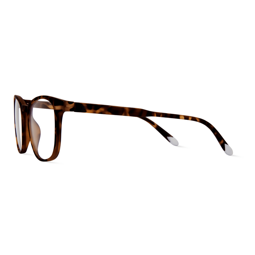 Barner Dalston Tortoise - iSTYLE RS
