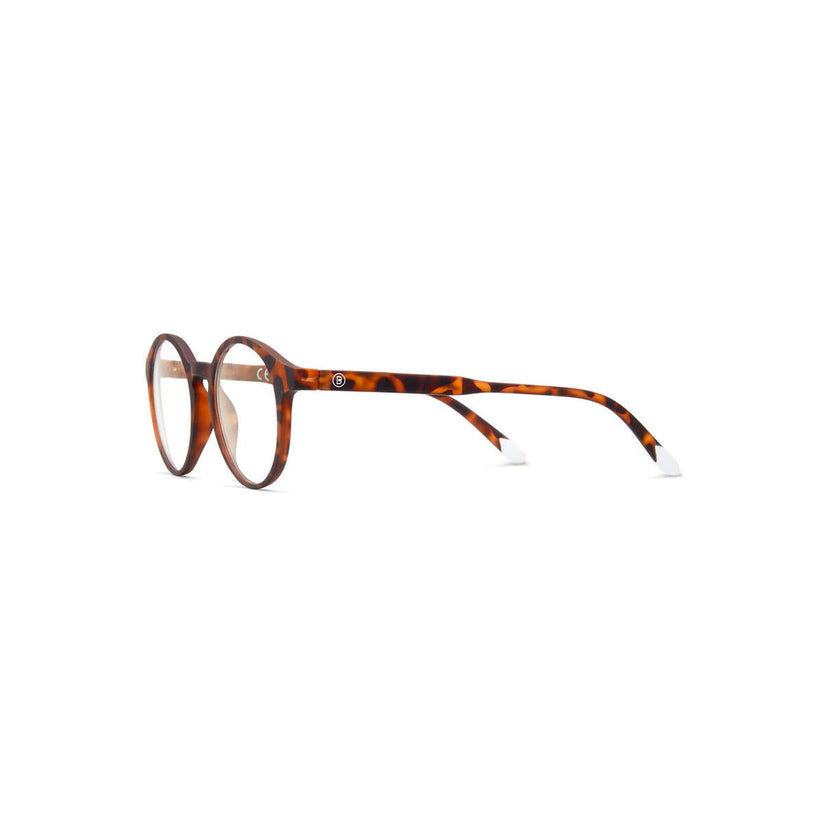 Barner Le Marais Tortoise - iSTYLE RS