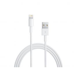 Apple Lightning to USB Cable (0.5 m)